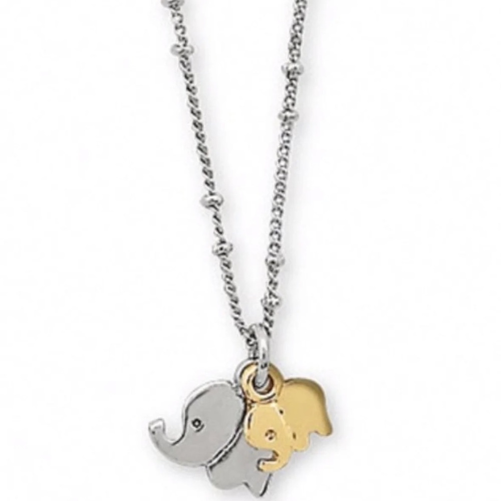 Premier Designs Trunk Show Necklace